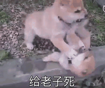 今天出来换驾驶证了，结果视力检查不合格。。