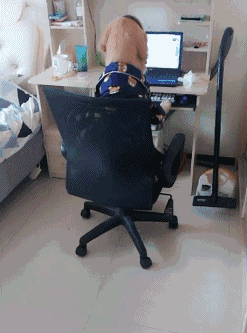 是不是很像宅在家里的你？