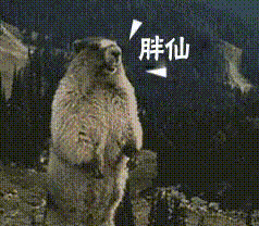 我受不了了，为什么二十多天感觉这么久，每天进斗鱼除了送棒子签到和投票就不知道干嘛了😭😭