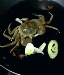 恭喜宝哥，重回国服巅峰！好哥哥，你真猛！