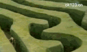 我是谁？我在哪儿？