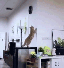 生活终于对我下了手