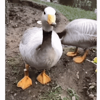 看这个可爱的小脚脚😂😂😂