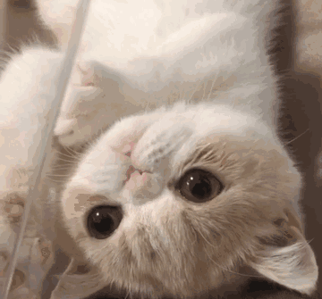 早上物业不让出 沟通了快两个小时 中间还保安换班 薛也是醉了 现在又堵车 我还把身份证封在箱子里了 裂开