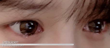 努力努力再努力