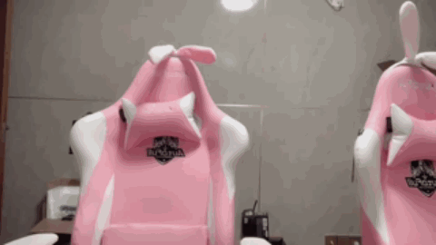 [topic src="110743"]#吾家有团初长成#[/topic] 
Day2
也不知道从何说起：我是从抖音上认识你的～感觉你好棒呀，唱歌又好听人又好看声音又好可爱，感觉干啥都好棒，但是我知道你一定也很辛苦，还好现在越来越好了，肯定是你背后的努力与付出，特别是那些网络风暴带来的伤害，好心疼你呀～可惜那个时候我还没怎么看，还只是咸🐷～但是你都杠过来了，你也做到了带给大家无限快乐，我之前也是想做大家的小太阳，感觉是和你那种带给大家快乐理念是一样的，但是我还是太高看自己了，我太容易被人影响情绪了，哈哈哈哈哈哈哈哈所以你真的超级棒噢～奥利给！！！最遗憾的就是没有早点认识团宝贝～猪猪最棒～啾咪[鲨鱼爱你]猪猪一直在努力奔跑～我会陪着你哒～