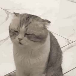 早晨8点到12点直播，下午1点到公司录音混音，没课就工作到7点半，有课就工作到6点然后上课到7点半，8点回来继续直播到11点12点，然后随缘回公司加班，太忙了晚间档随时可能鸽，早间档如果我突然鸽了那我可能就是猝死了