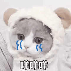 为啥私信房管都是感叹号呀，惆怅