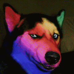 贴[topic src="137531"]#爱护地球爱护环境#[/topic]