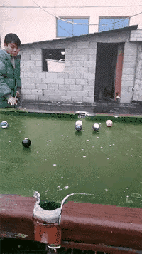 打卡[弹幕梗卑微]