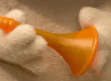 套你猴子的yyy[topic src="178046"]#宝哥：嘤嘤嘤，人家4万名望啦~[/topic]