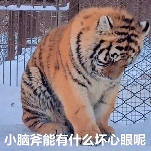 人回到原点只会忘记一切，重复错误，永劫轮回，这就是人生的悲剧，一切循环往复[弹幕梗合理][弹幕梗老板大气]

弃权就是放弃权利，赢的权利[弹幕梗表面兄弟][弹幕梗死等]

这人世间真的就没有爱了吗，天涯海角矢志不渝，这是愚昧。世界上是没有天涯海角的，是爱在作怪吧，日后他们会明白的。[弹幕梗打工][弹幕梗卑微]


其实无知是一种罪，当你发现事实的真相，你就会痛恨自己[弹幕梗翻水水][弹幕梗嚯]

保真者少，迷惑者多，仙道难固，鬼道易邪，人道者心，谅不由他[弹幕梗你行你上][弹幕梗下饭]

尝试新事物未必不是一件好事[弹幕梗舒服了][弹幕梗让二追三]

恶自心生，生生不息[弹幕梗666][弹幕梗那我走]

在苍穹宇宙里，难道真的有好人坏人之分吗[弹幕梗基操勿六][弹幕梗企业级李姐]

这世上有种东西叫运气，有了它，没有什么不可能[弹幕梗在现场][弹幕梗吴迪]