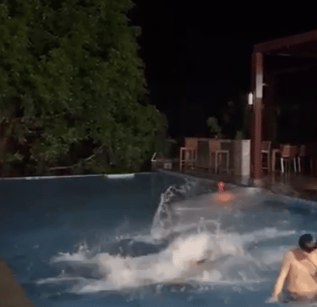 [user src="31q72koO9w9J"]@DL丶拖米[/user] 米哥爱了吗❤️
7.22表情包集锦🥳[topic src="182405"]#三亚表情包大赏！主播：谢谢喜爱求放过[/topic]