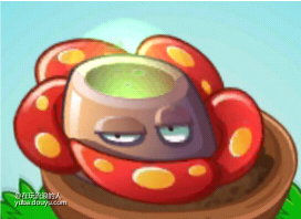 大王花，现实中又被俗称食人花（它们会散发一种腐烂尸体的味道，让人以为它们吃人，才将它们叫作食人花）它们并不吃人，但因为它的腐臭味和寄生植物的特性，才让人误以为它会吃动物（大王花：我冤！）不说是吃人了，它们连只老鼠都无法吃下，根本就消化不了节肢动物以外的生物。（制作和收集资料不易，点个赞吧！！！）[topic src=&#34;188752&#34;]#植物大战僵尸2九周年[/topic]