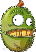 植物千千万，蜜帝属最强[弹幕梗666]