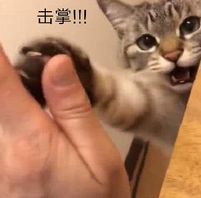 灵魂筹码:商店系统+开机关的模式。地图也做的不错，这游戏如果更新加宣传运维好很有前途，加上国货！亚洲的恐怖.
最大区别:
灵魂不是鬼，一路追人。砍到你家！合理使用道具，是两边赢的唯一方法！

人技技巧
开机关和商店新手需知
0.商店是获取开，机关牌，道具的关联。商店门口“有不同样式的灯笼”找到商店很重要！
1.机关是21点牌凑齐后打开，点数约高打开约慢！获得筹码数目跟点数一样。
2.已被过开机关，并未开完，观看机关下面“点”不用去看牌
3.机关约少鬼守机关的几率约大，所以可以用小点凑方式，这样危险变少
4.最重要一点“风沙一起就撤”鬼可以通过传送，机关旁边有风沙效果！每个机关。同一时间不能一直传送

遇鬼技巧作战篇
1.鬼的探知人是范围透视，所以你如果靠鬼近。躲是没用的！ 这里跟其他游戏不一样，不要想卡视角
2.熟悉每个鬼的技能（下面鬼技巧会说）。
3.遇到不同的鬼，并且熟悉了“风沙跑”。选择是否关门开电机，因为高端鬼不会直接飞过来砍你。“会走过来砍你”关门是个很好的选择，记住有窗子都打开。因为鬼没法直接进门，只有破坏给你时间留
4.人必须合理使用道具和钱至关重要。道具有3个获取道具的方式 商店和箱子（箱子打开后要点下才能获取到，有箱子就翻吧） 

人参果：治疗残血状态 价钱最贵21 前期开了机关最好马上买一个在身上。残血很危险而且自己倒地，会给队友压力 。作用任何情况可以使用 

隐身符：隐身30S 除跑的动作都会显形 跑不多说，但是最重要的现阶段作用。 是最后1个机关时候，自己血满的情况。买一个隐身符 等鬼看了机关走后马上开，有奇效(鬼气场无法发现隐身的人)

土遁珠：立刻随机传送符，很多人宁愿买人参果，也不会买土遁。因为回血很重要， 这种随机 看样子是用处不大，但是如果鬼在有“铃铛和开了罗盘过来找你时候”。有奇效，一般鬼会砍你后，马上用镇魂铃。 这是可以被砍后马上土遁，鬼一般相当于2个道具换一个！（实战如果，觉得可以秀。并且钱不够时候推荐）
5.最后遇到鬼时候，听提示声音。使用右键闪避（必须多打）

鬼基础篇
想玩好鬼熟悉技能是必要的。现有鬼有3个 僵尸，绣娘，锤哥

诡王：屏息直接没有心跳，但是会影响感知。 但是僵尸背后砍人，阴人手选。

绣娘：原地招出分身，分身可以朝向人类。但是没有攻击效果，绣娘可以传送分身。 分身用来卡位置和商店机关，很有用。有些皮的人喜欢分身旁边开机关用商店。你就赚了，如果你是奥斯卡影帝也可以装分身！

捶哥：冲锋，直线遇到锤哥 想可以跑掉找死，冲就完事了，并且锤哥体积大 很容易卡到人类。过去就是一榔头。

现阶段我最怕的鬼是 诡王》捶》绣娘

鬼道具+遇人实战篇
0.鬼追人一般追不到的，只有使用套路，卡视野，道具获胜。所以玩鬼就是心理的博弈

1.鬼气场是范围，只有人在范围就可以透视。除非使用隐身符，所以不用担心人卡视角。并且利用这个机制可以转角遇到爱，有很用。
2.鬼不要贪刀，如果不是必杀不要追人砍中后获取筹码后，购买道具致胜的关键。所以一般砍了就走，找下一个最好的方法。
3.传送遇到非新手，都会感知。所以传送和绕后合理控制是关键！

4.人是可以闪避的，出刀方向遇到高端人类。是很关键的

鬼道具： 主要通过商店购买，所以你去商店时候可能遇到人类

捕兽夹：人踩中直接残血。并且挣脱后才能使用。 最被忽视也是可怕的道具，而且肯定有收益。放商店门口，不多说。机关少时候也可以，如果配合旁边阴人。不多说！

摄魂铃：范围晕眩人类，晕眩人类无法使用任何道具。最重要的道具，鬼想赢必备。如果人多，一刀一个小朋友

罗经仪：全图挂不解释，开了后地址位置暴露无遗，一般配合镇魂铃使用。找人妥妥的，并且如果先一刀，然后摄魂铃就躺了

还有个机制上面忘说了，血条1/4差不多鬼才能处决。所以人类第一次到底被救后第二次倒地没有带技能，会马上可以被处决。

现在鬼赢的方式一般两种
1.鬼王模式不守尸，靠套路道具技术流，什么皇来了都不怕 
2.守尸流，过来救人就是送钱，签多了 铃铛全场走起。（但是怕3个绝情谷出来的人类，这种很难全杀）
所以选择适合自己的方法就行

大概技巧就是这些 有兴趣的小伙伴可以仔细看看~