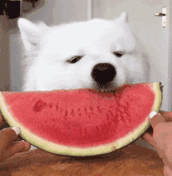 最好的解压方式！！我太需要了！！
