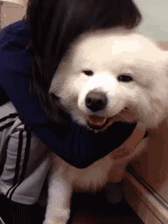 最好的解压方式！！我太需要了！！
