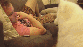 最好的解压方式！！我太需要了！！
