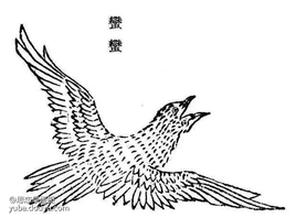 今天兽兽要给大家介绍苍灵大陆的爱情鸟——蛮蛮！蛮蛮是一种远古之鸟，《山海经》西山经上说：“崇吾之山，有鸟焉，其状如凫，而一翼一目，相得乃飞，名曰，蛮蛮，见则天下大水。”意思就是崇吾山那里有一种鸟，长得像野鸭子（确切地说应该是半只鸭），一只眼睛一只翅膀，雌雄两只凑在一起才能起飞，名字叫蛮蛮，它一出现，天下就会闹水灾。所以蛮蛮是雌雄组合，按今天的说法，就是蛮蛮的身体和翅膀都是拼单共用的！而且这鸟也是一种凶鸟，一出现就会闹水灾！只不过蛮蛮雌雄组合后，又发生了新的变化，除了能飞，还获得新的名字——比翼鸟！比翼鸟大家都熟悉吧！这可是爱情的小鸟呐！在爱情的美化下，蛮蛮也就慢慢洗白了！好家伙！原来拼单拼着拼着就能拼出爱情！又获得了好名声！还真是爱拼才会赢！苍灵大陆上的蛮蛮，将吃货拼单精神发挥到了极致，蛮蛮作为一种水鸟，爱好吃鱼，于是背上背着装满鱼的鱼篓，嘴里叼着鱼，连脖子中间都塞着一条鱼！真是夫妻齐力，横扫鱼塘！因为是雌雄组合，所以美术大大在设计的时候，在共用灰色羽毛鸟身的基础上，将两者的头进行黑白区分，更有cp感，颇有小时候兽兽吃到的“神雕侠侣”辣条组合感！（这该死的吃货精神呀！）兽兽是悟了！还是要爱拼才会赢！所以有人愿意来和兽兽一起拼一下吗？