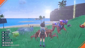 《宝可梦朱紫》的生蛋系统有所改动,官方简化了本作的生蛋步骤,并且还加入了快速生蛋的机制
陪伴了我们二十多年的饲育屋终于结束营业,曾经的饲育屋是我们对战向玩家和生蛋废人们的家,我大部分的游玩时间都是住在饲育屋里,现在消失真的有点不舍。
不过饲育屋结束营业真是无可厚非,始终官方一直致力于简化宝可梦的培育,务求让更多的新玩家可以投入对战,相信在接下来的世代官方也会继续简化生蛋。
饲育屋结束营业的现在,宝可梦们只能在朱/紫中回归大自然,在野外生蛋了。玩家在游玩到一定程度后,便可以在开放世界地图上野餐,野餐需要远离人烟,并且是开阔平坦的地面。只要放出一公一母或是百变怪,便可以让宝可梦生蛋。
与前作不同的是,宝可梦生蛋不再需要步数,只要等待一段时间后,便可以野餐篮里找到牠们的蛋。
如何快速生蛋:为了加快宝可梦生蛋的过程,玩家可以烹饪具有『蛋蛋力』效果的料理,只要进食料理,便可以缩短宝可梦生蛋所需的时间。料理所需的食材可以在各个城镇的商店中购买,在培育宝可梦前,玩家可以先准备好这些材料,以加快生蛋的过程。
在其他作品中,火焰之躯等等的特性可以用来加速蛋孵化的速度。不过在朱/紫中,这些带有地图效果的特性都被删除了,幸好,孵化宝可梦的步数相比前作减少了许多。相对于前作,生蛋所需的时间大幅减少,玩家也不需要花费大量时间去孵化宝可梦。
个体值和性格的机制和前作相似,要生出拥有优秀个体值的宝可梦,便需要红线和不变之石这两个道具。红线可以绑定其中父母的五项个体值,不变之石可以绑定性格,各位可以参照前作的生蛋方式。